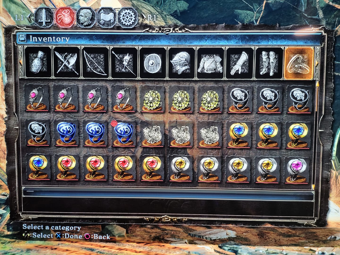 Customer photo review of Dark Souls 2 Items & Souls
