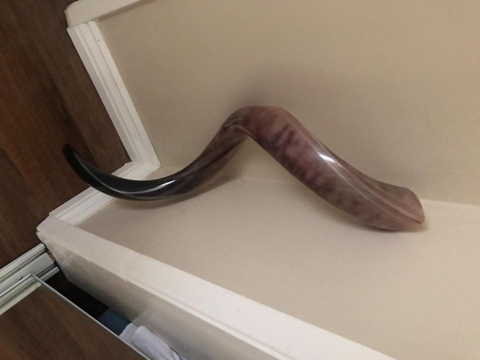 Customer photo review of Half Polished Kudu Shofar Plus Ram Horn, Guide & Brush