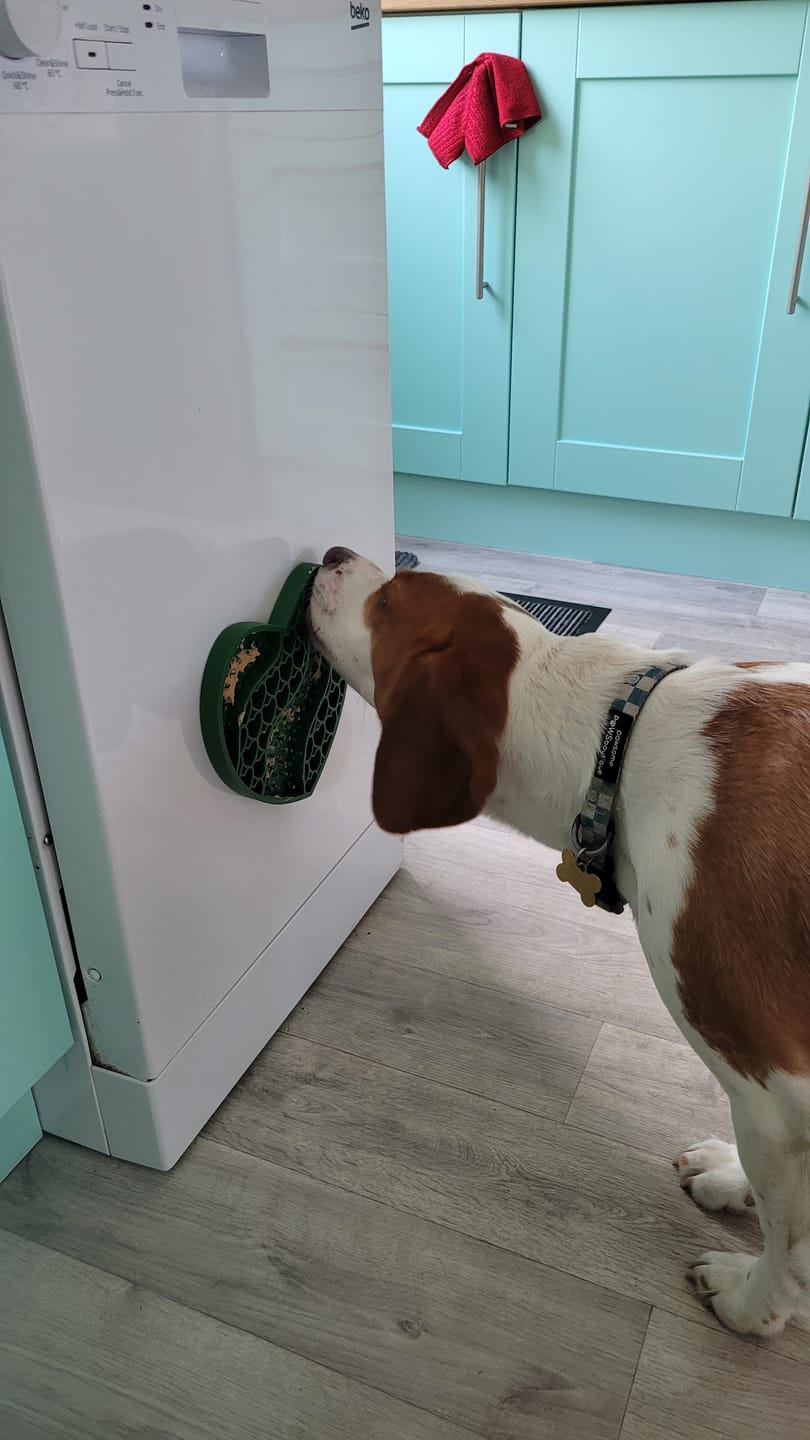 Customer photo review of Lick Mat - Forest Green