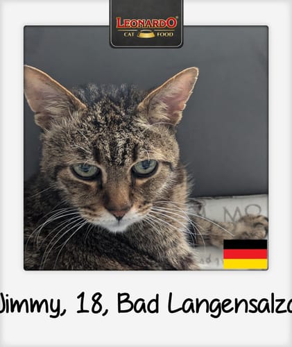 Customer photo review of 2+1 Senioren Gelenk Paket