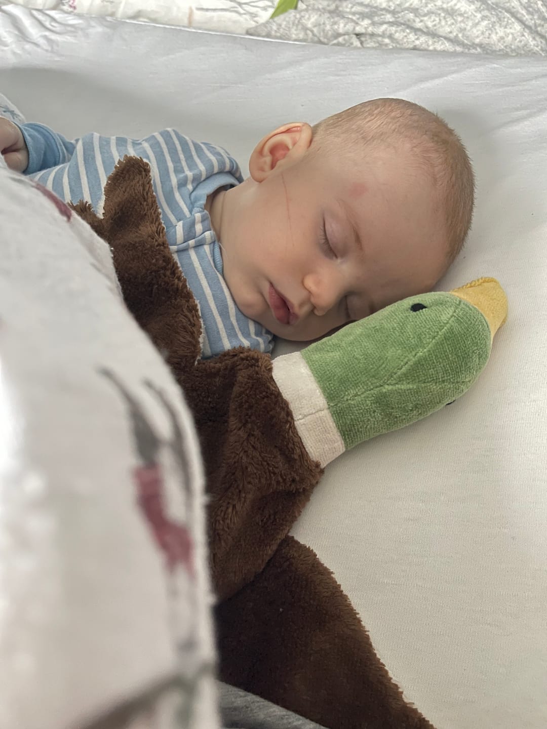 Customer photo review of Stokkand med varme/kjølepute - liten