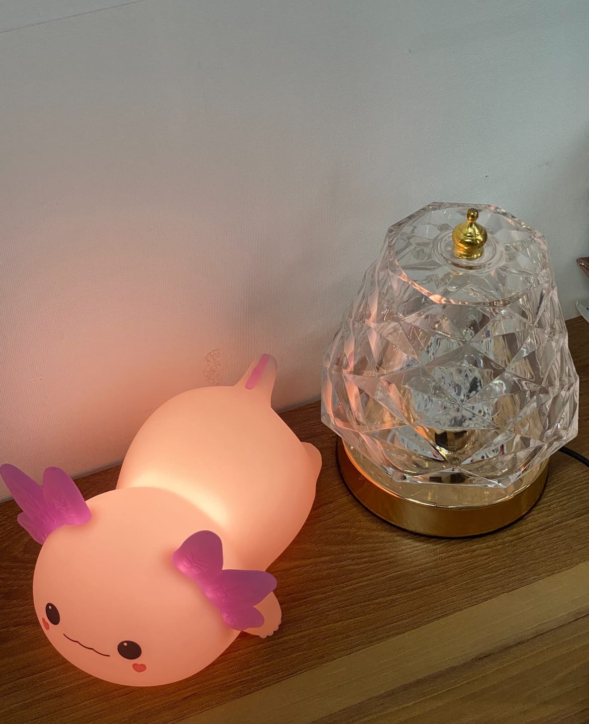 Customer photo review of MeWaii® 2025 Limited Version Axolotl Squishy Silicone Night Light - Perfect Gift 🎁