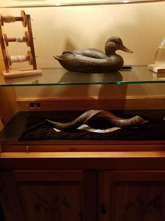 Customer photo review of HalleluYAH Original Kosher fully-Polished Kudu Shofar From Israel
