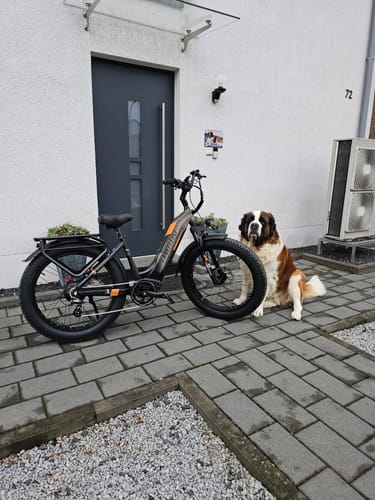 Customer photo review of Lankeleisi MG600 Plus 1000W 26" Fat Bike All Terrain SUV E-Bike with Torque Sensor 48V 20Ah Samsung Battery