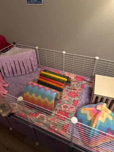 Customer photo review of 4x2 C&C Cage with Stand