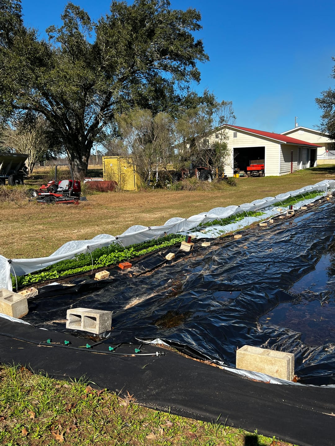 Customer photo review of Floating Row Cover*
