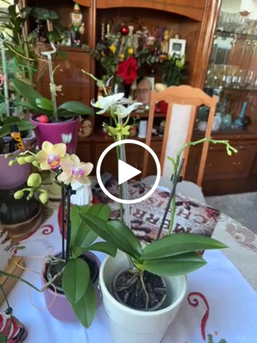Customer video review of Table Dance Weiß mit weißen Blüten und 2 Rispen
