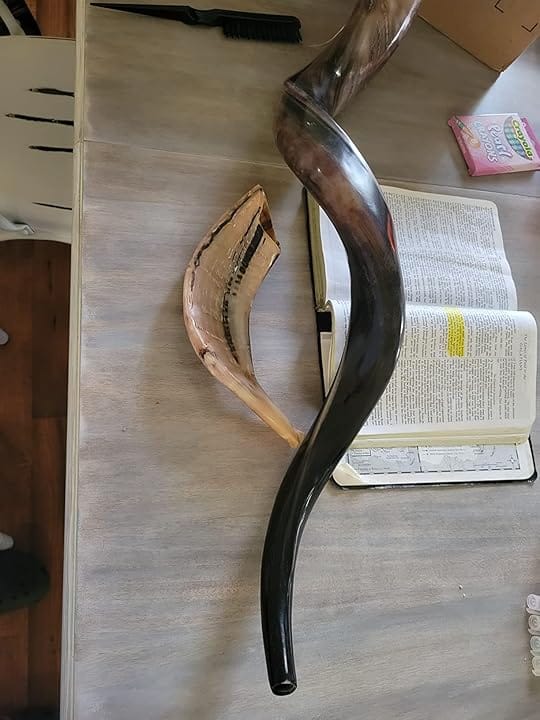 Customer photo review of Half Polished Kudu Shofar Plus Ram Horn, Guide & Brush