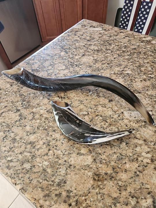 Customer photo review of Half Polished Kudu Shofar Plus Ram Horn, Guide & Brush