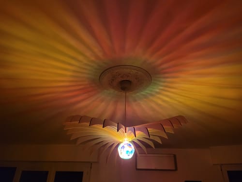 Customer photo review of Aigle | Suspension