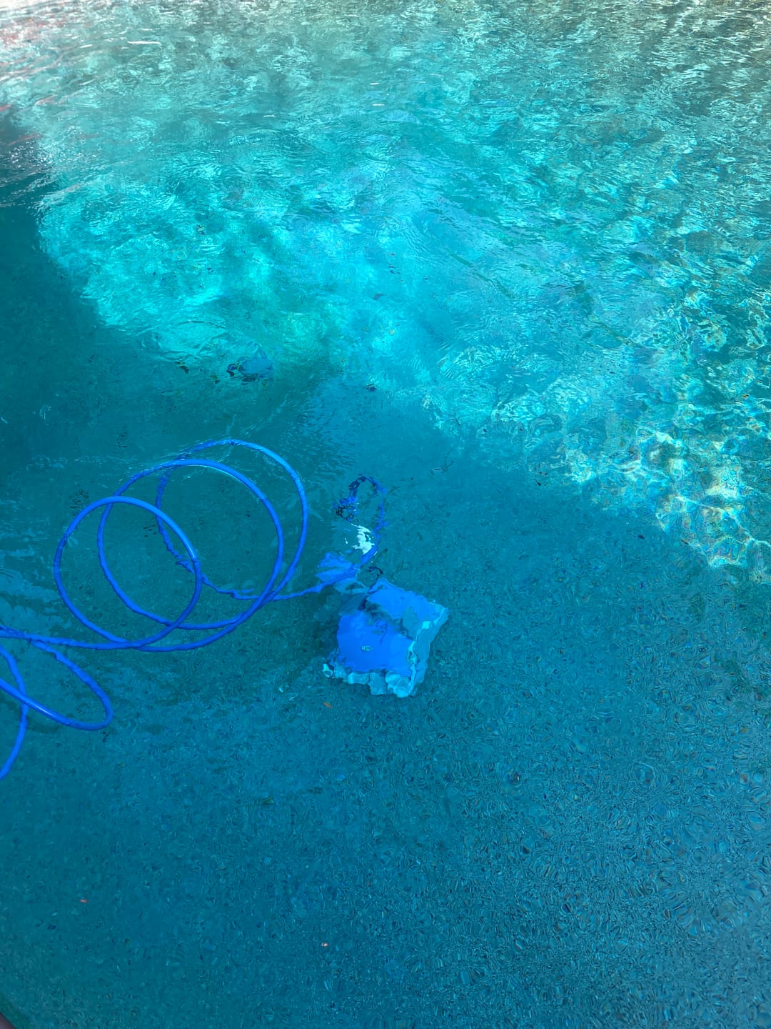 Customer photo review of Ships Next Day New Maytronics Dolphin M400 Robotic Pool Cleaner
