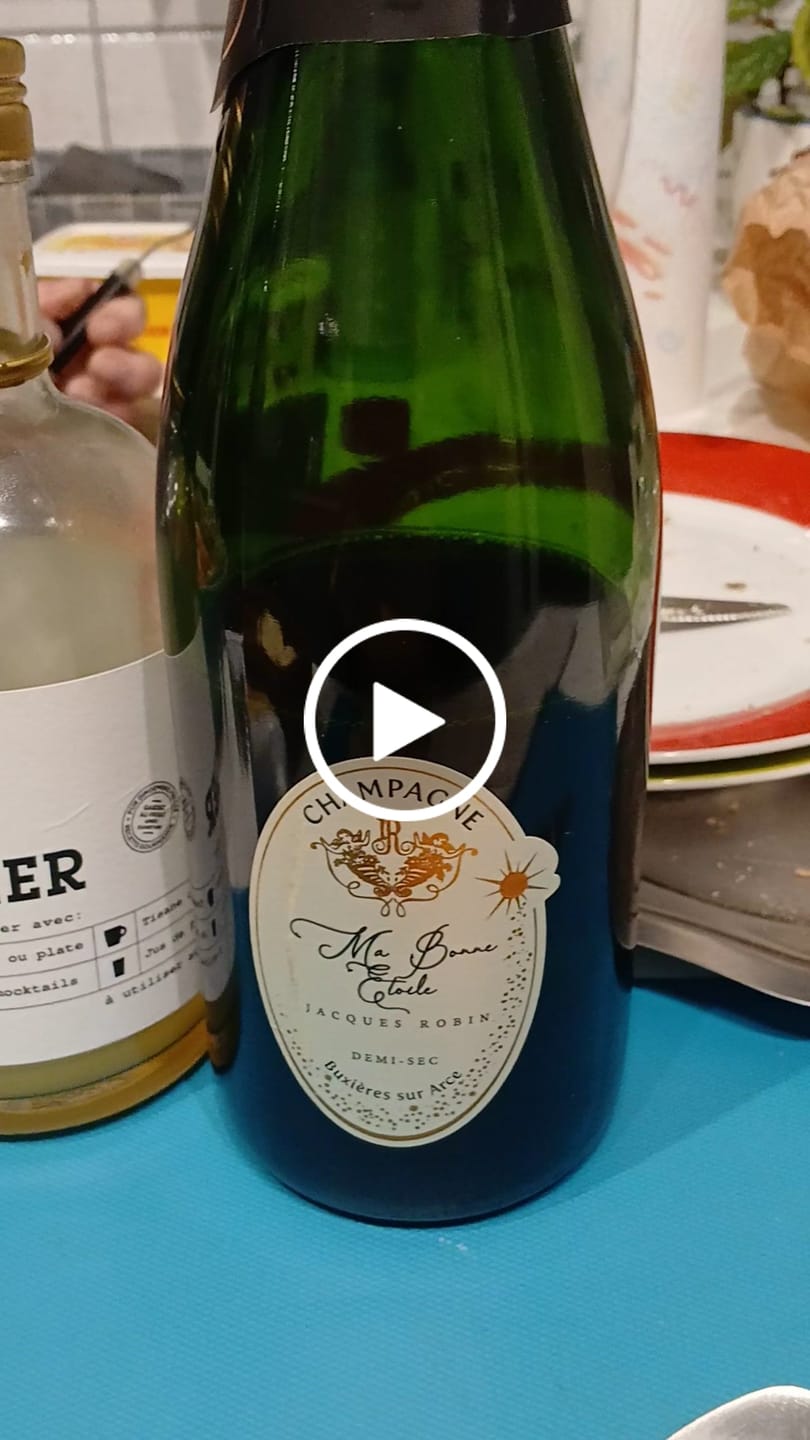 Customer video review of Le Ginger Gopy 500ML BIO