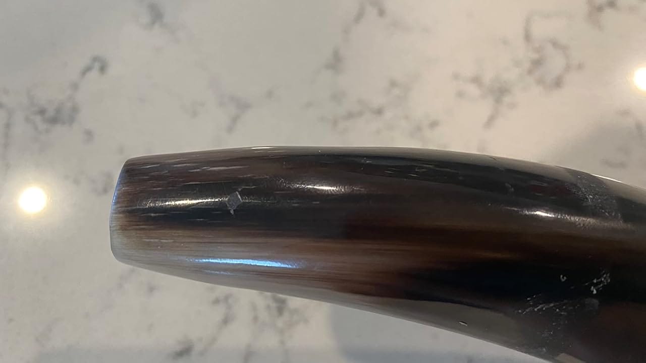 Customer photo review of Half Polished Kudu Shofar Plus Ram Horn, Guide & Brush