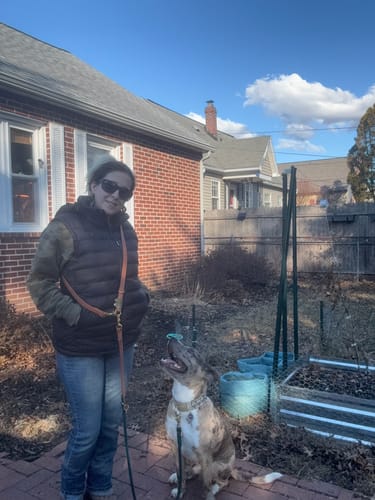 Customer photo review of Cedar - Classic Biothane Dog Leash