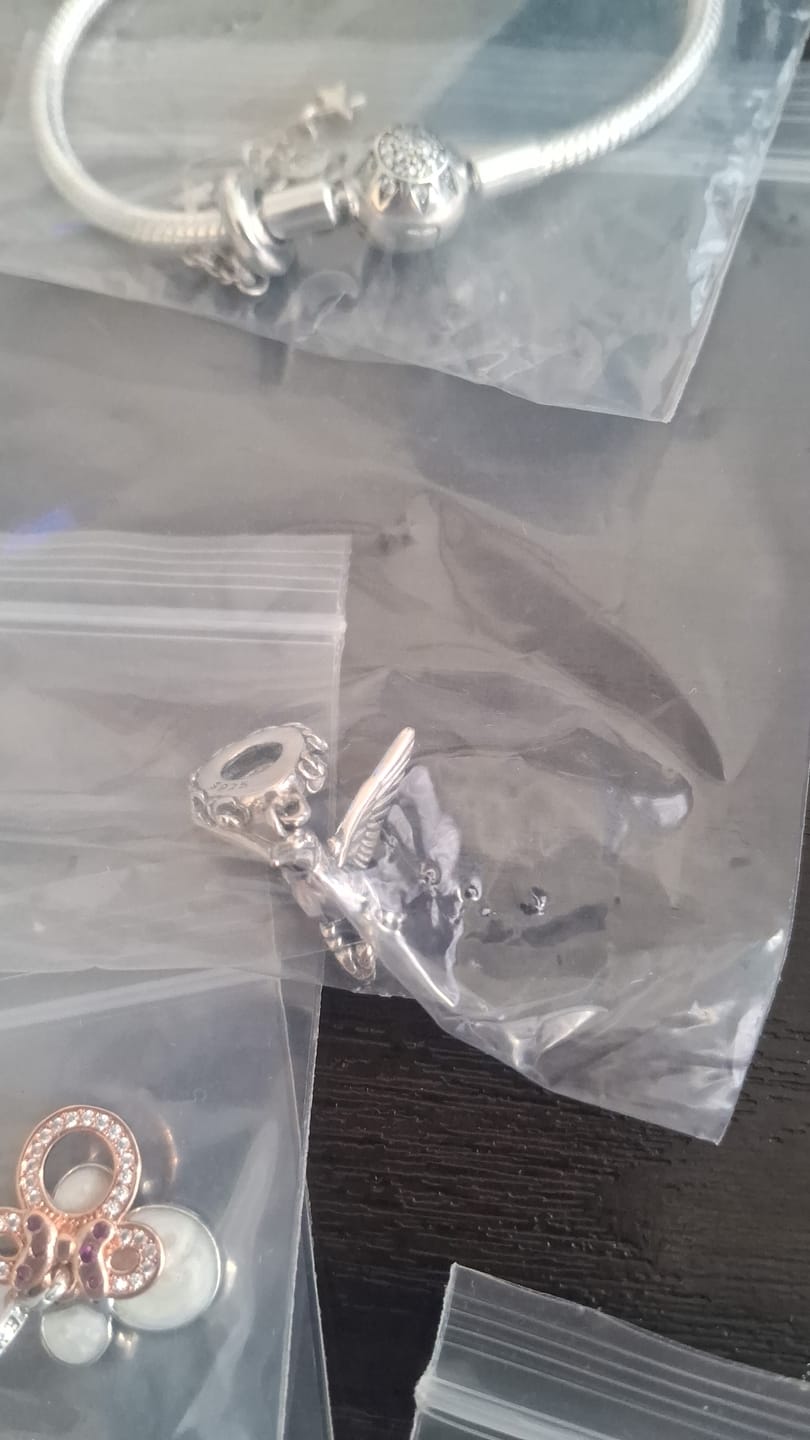 Customer photo review of Charm Colibri Mistico