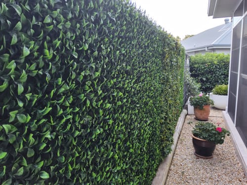 Customer photo review of Green Meadows Artificial Vertical Garden / Fake Green Wall 1m x 1m UV Resistant