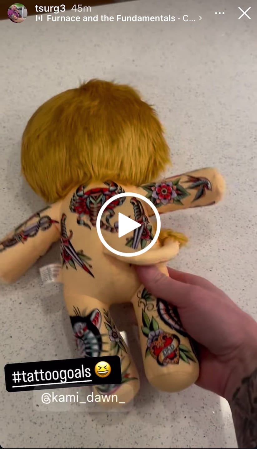Customer video review of Samuele the Alpha Male Lion
