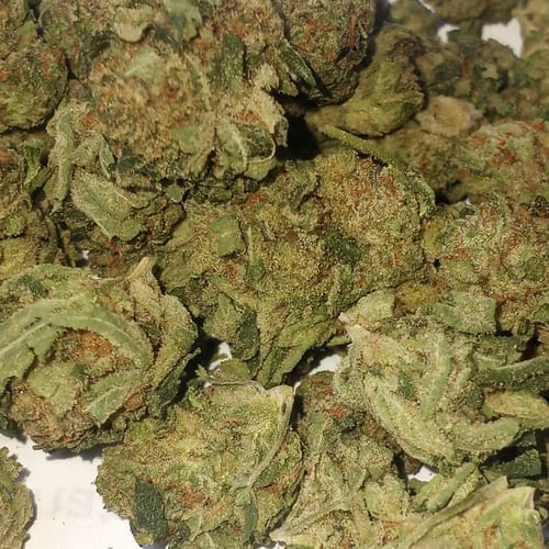 Customer photo review of Skywalker OG - Greenhouse THCA (Smalls)