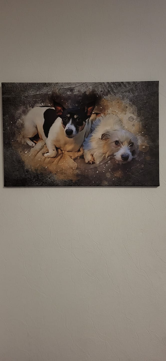 Customer photo review of Dein Hund als Aquarell Tierportrait | Geschenk für Hundebesitzer