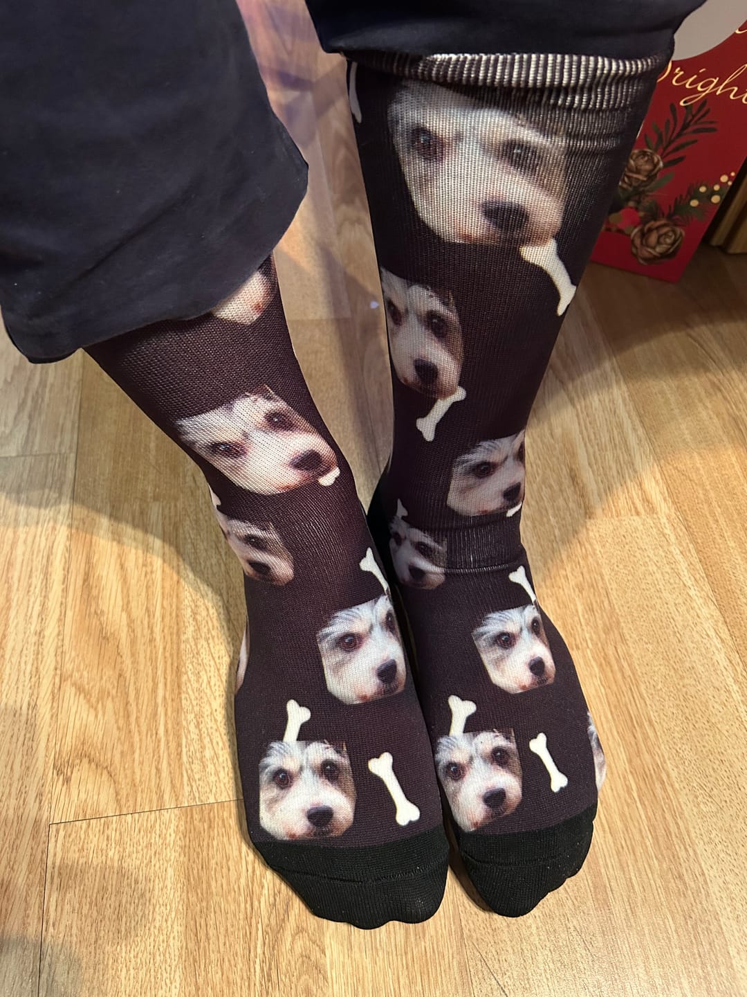 Customer photo review of FaceSock | Custom Dog Socks With Photo
