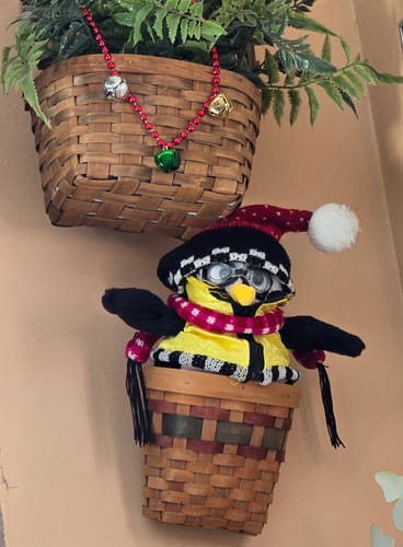 Customer photo review of Friends Penguin Hugsy Doll Plush Toy