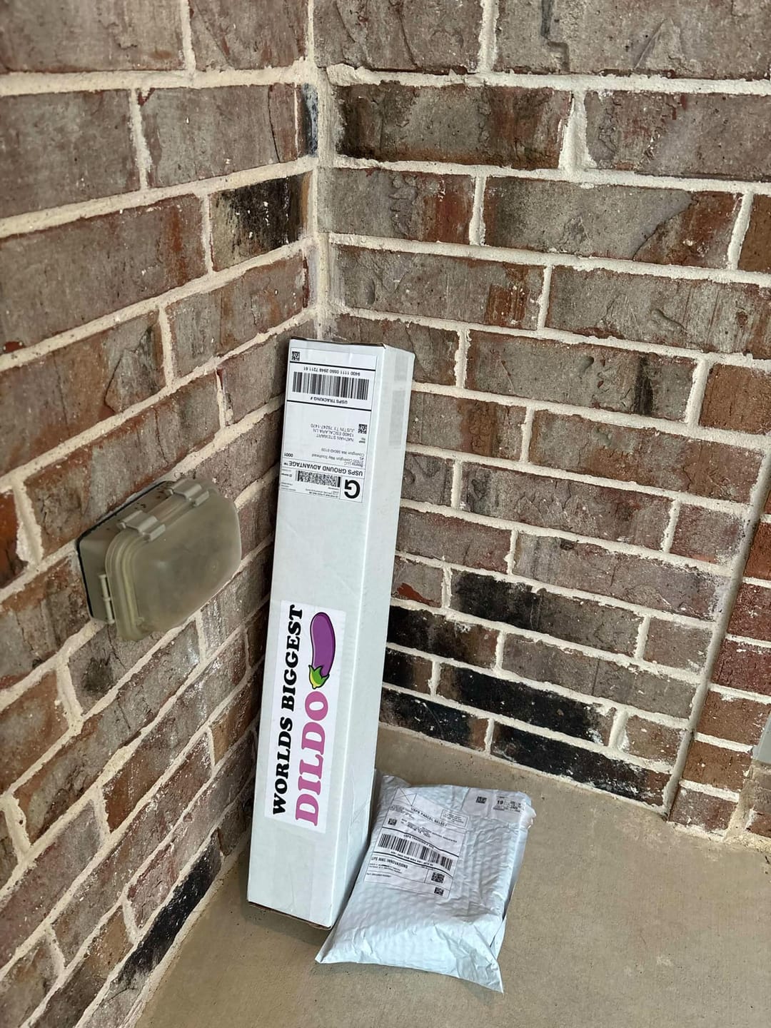 Customer photo review of Worlds Biggest Dildo Mail Prank Package Box Tube