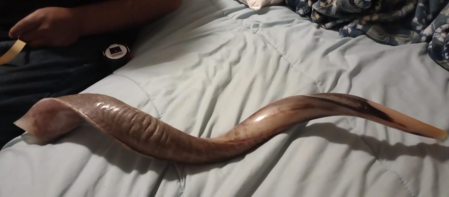 Customer photo review of Half Polished Kudu Shofar Plus Ram Horn, Guide & Brush