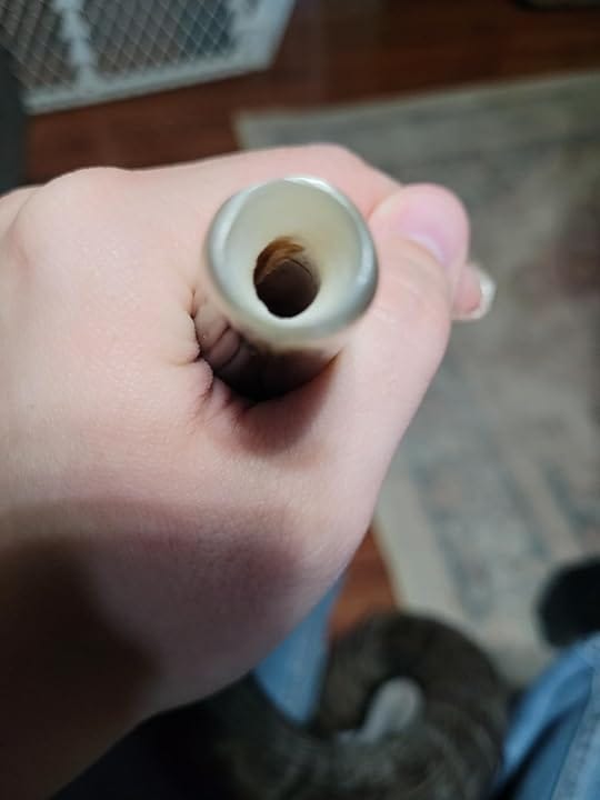 Customer photo review of Half Polished Kudu Shofar Plus Ram Horn, Guide & Brush