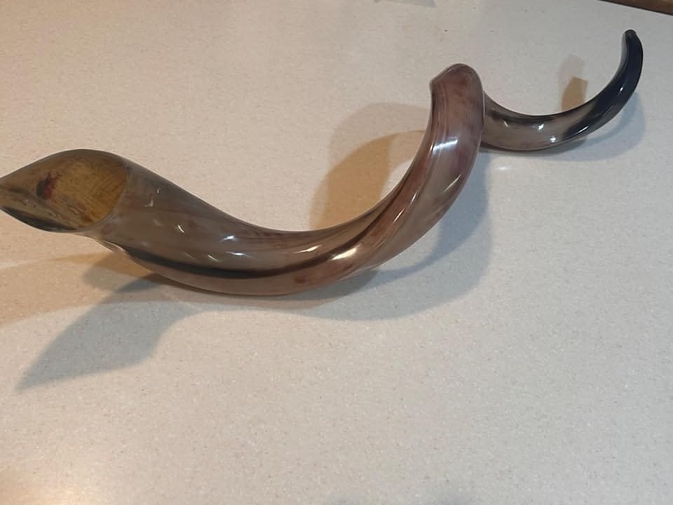 Customer photo review of Half Polished Kudu Shofar Plus Ram Horn, Guide & Brush