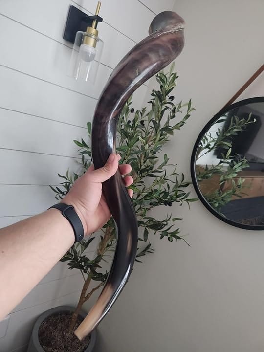 Customer photo review of Half Polished Kudu Shofar Plus Ram Horn, Guide & Brush