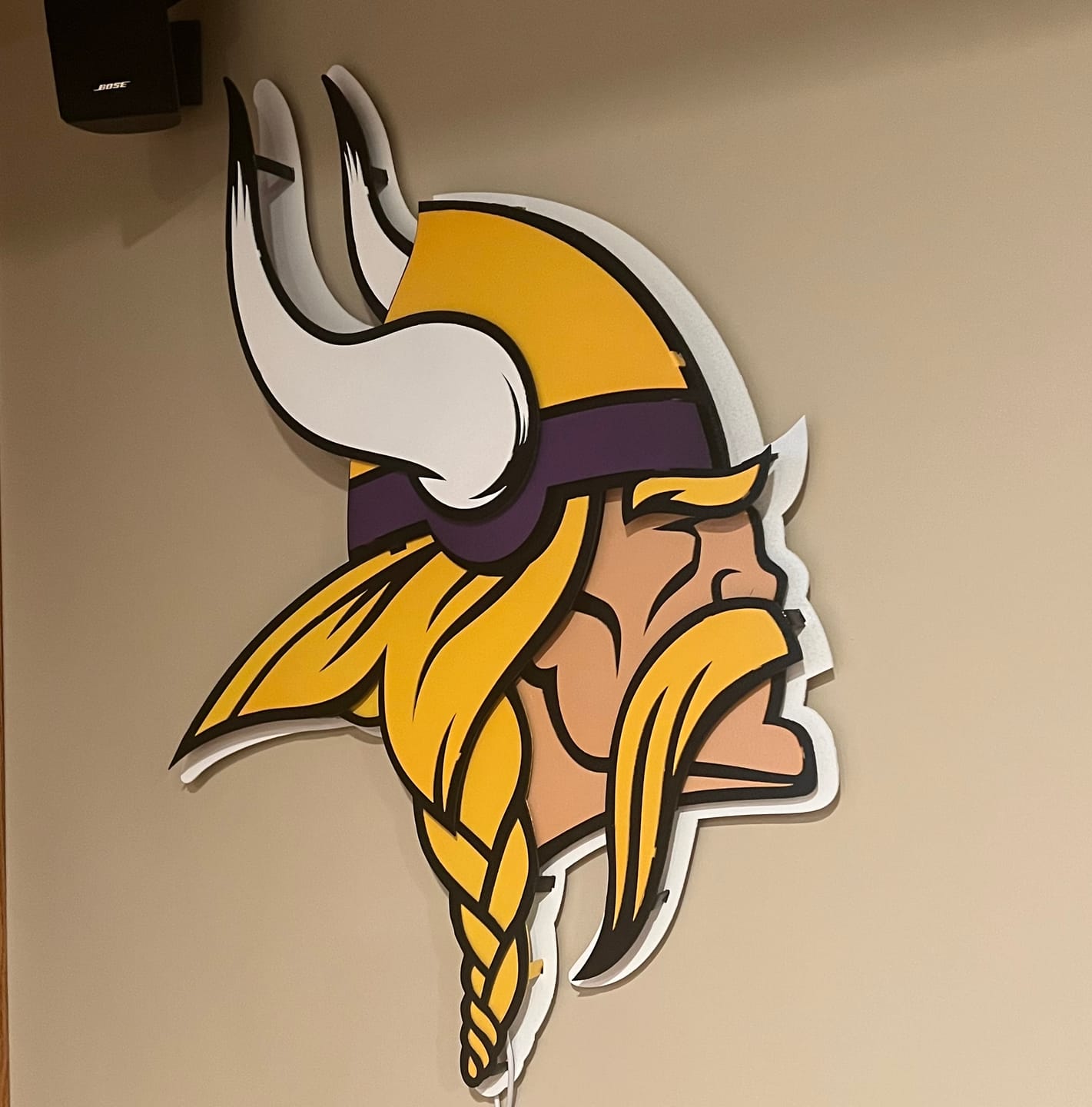 Customer photo review of Minnesota Vikings "Norseman" 3D Vintage Metal Wall Art