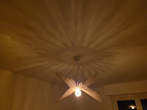 Customer photo review of Albatros | Suspension