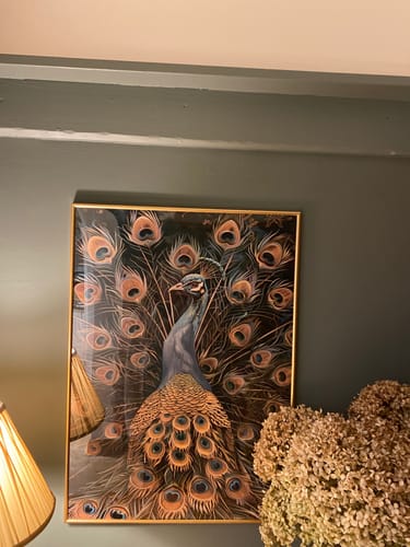 Customer photo review of Vintage Peacock No1 Print