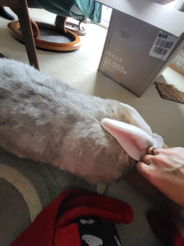 Customer photo review of Taster Pack