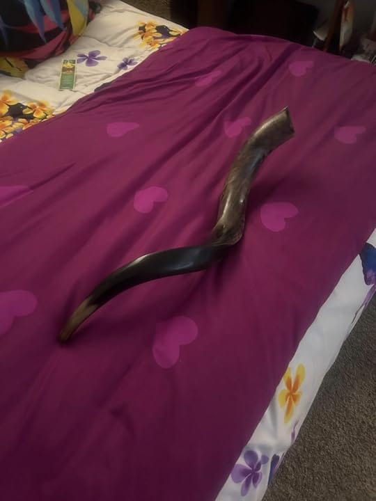 Customer photo review of Half Polished Kudu Shofar Plus Ram Horn, Guide & Brush