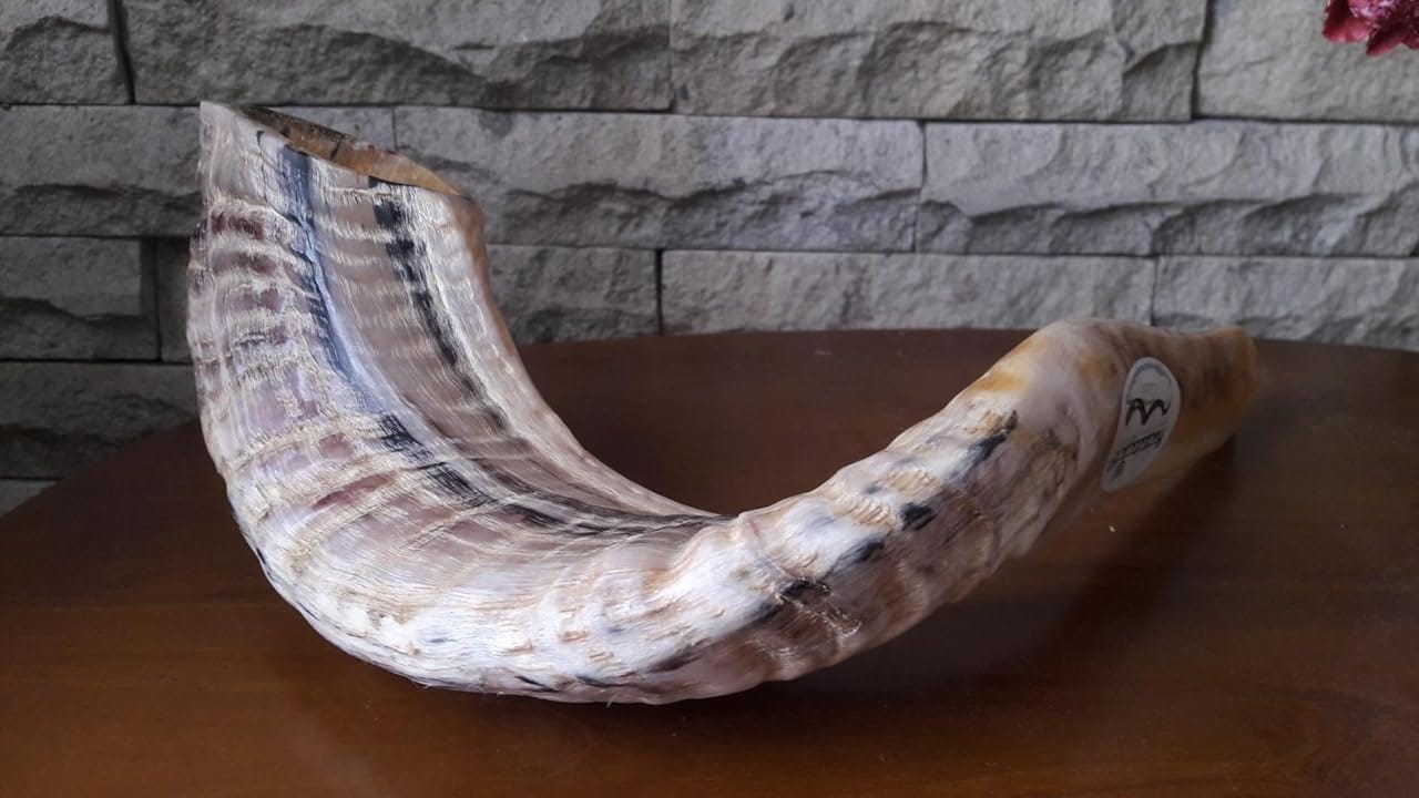 Customer photo review of Ram Shofar with Decorated Wood Stand