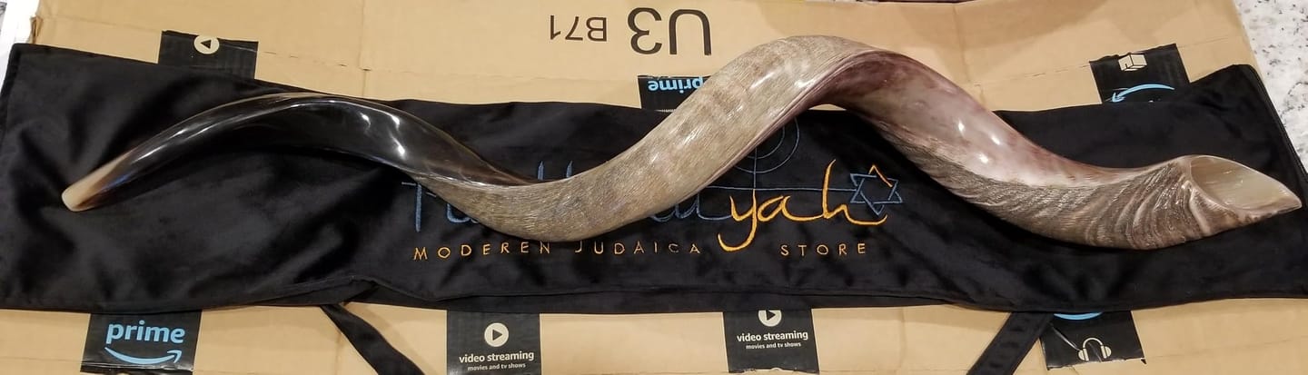 Customer photo review of Half Polished Kudu Shofar Plus Ram Horn, Guide & Brush