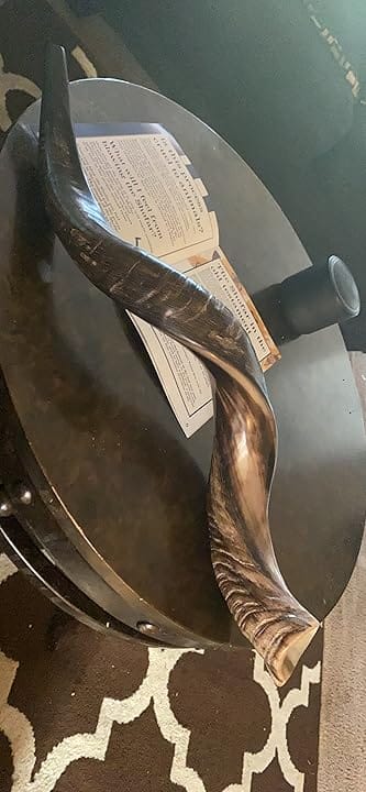Customer photo review of HalleluYAH Original Kosher fully-Polished Kudu Shofar From Israel