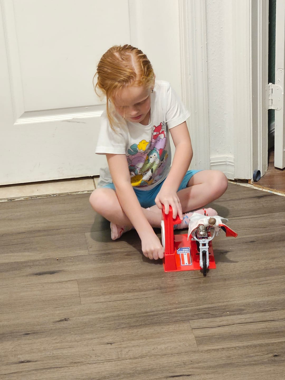 Customer photo review of Evel Knievel Deluxe Silver High Jumper Stunt Cycle