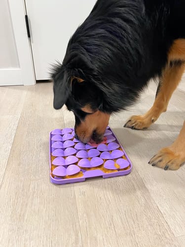 Customer photo review of Slow Feeder - Lick Pad Combo