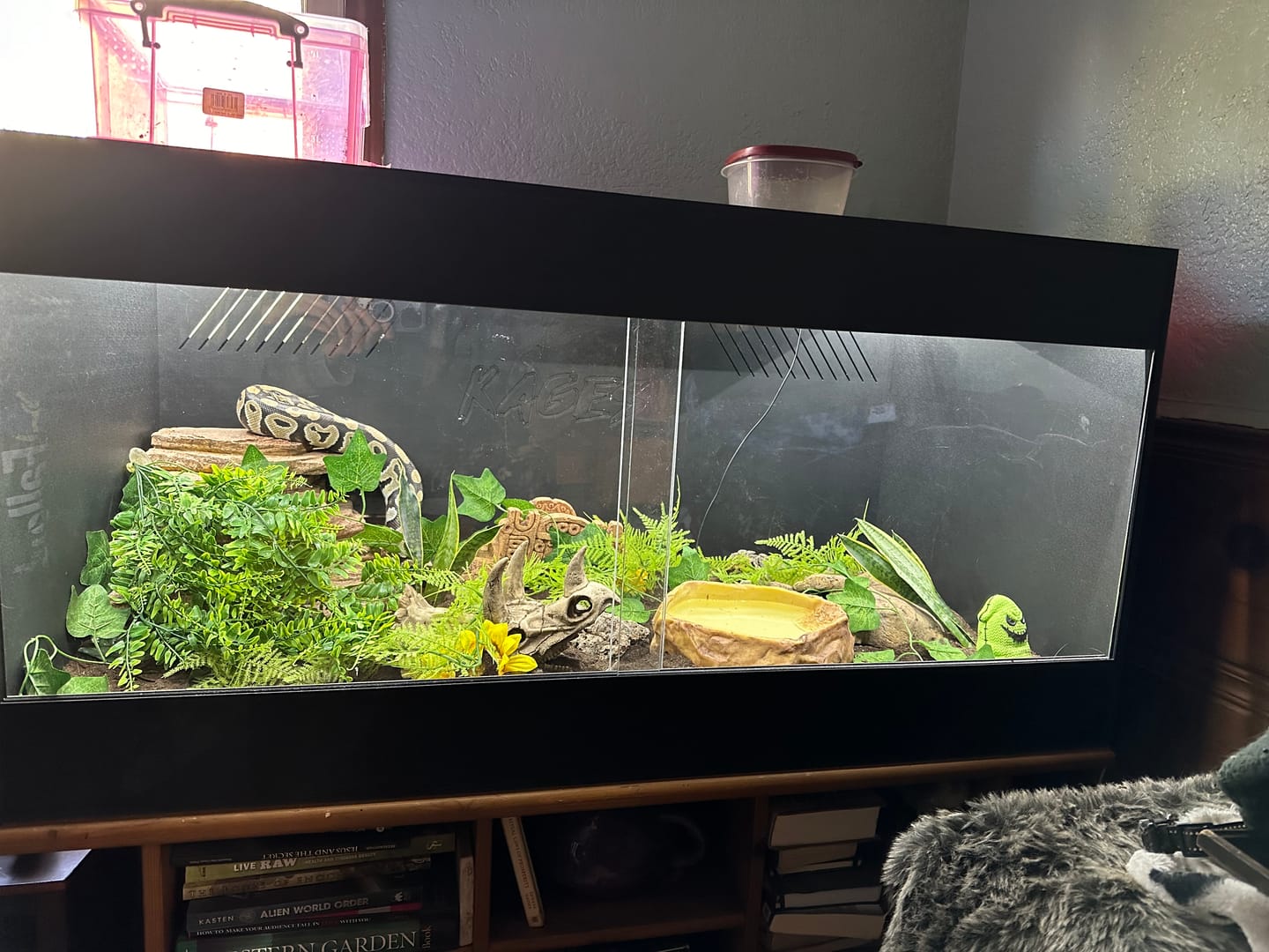 Customer photo review of 48"x24"x24" / 4'x2'x2' Premium PVC Reptile Enclosure