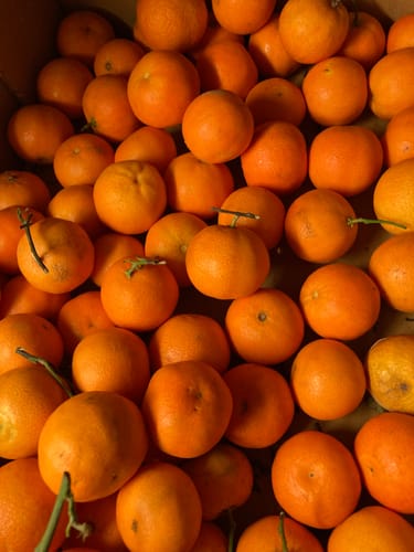 Sandrine J. review of Clémentines Bio - Origine Corse image 1 out of 1