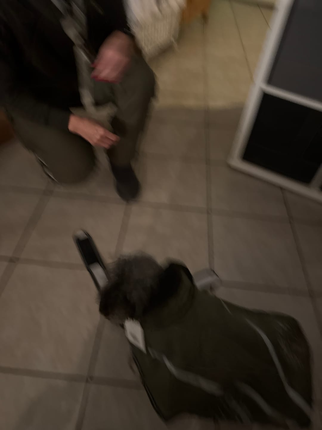Customer photo review of Active Canis - 2-i-1 Hundejakke, khaki