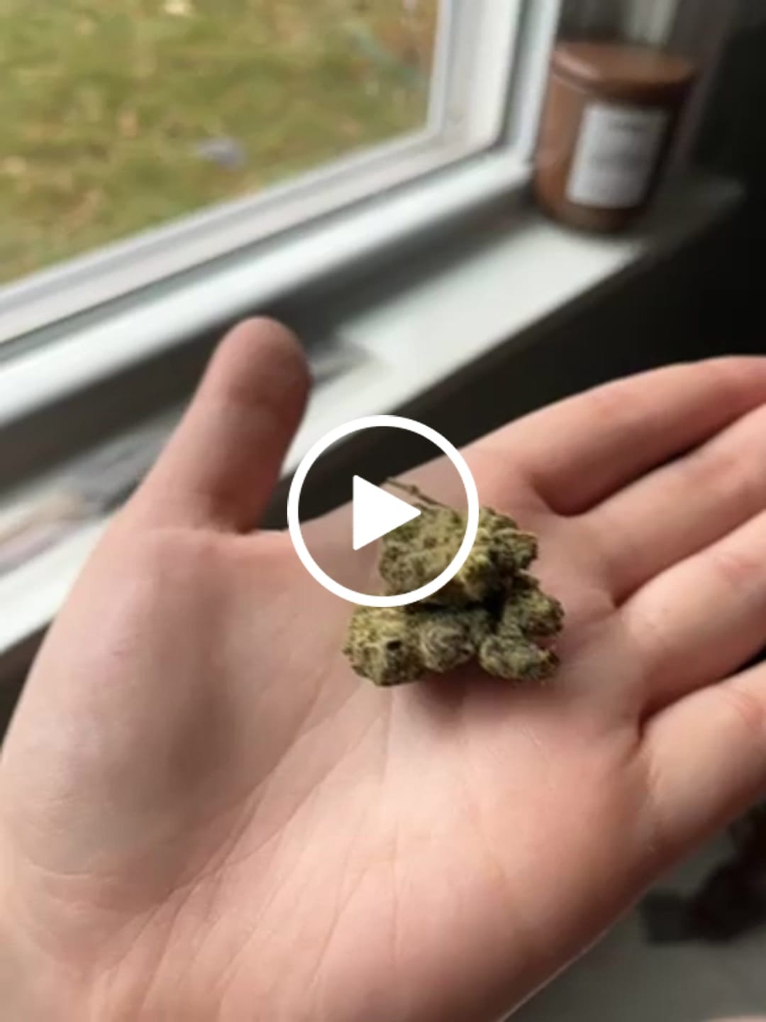 Customer video review of Mochi - THCa Flower