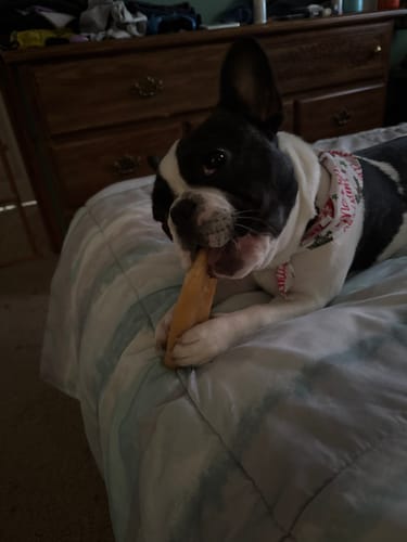 Customer photo review of MIX FLAVORED CHEWS ( A PACK OF 6 STICKS )