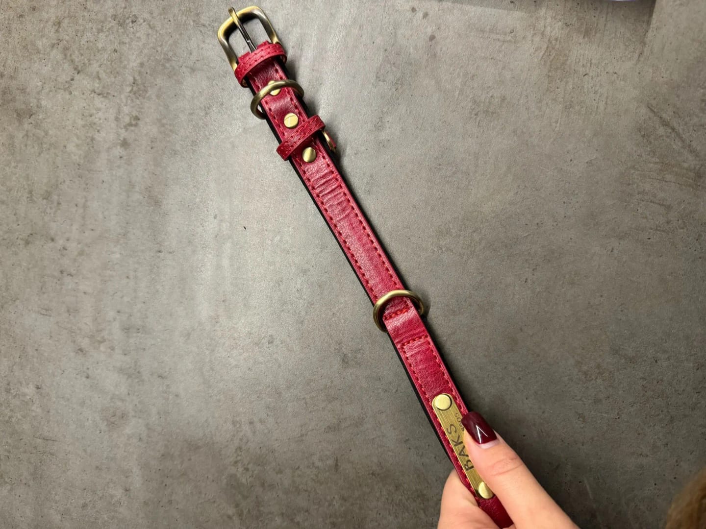 Customer photo review of Soft Padded Custom Leather Dog Collar and Leash Set with Free Engraved Nameplate for Small, Medium, and Large Dogs