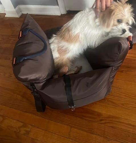 Customer photo review of Sleeping Paws Pooch Pad