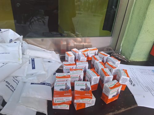 Customer photo review of Newcastle Lasota