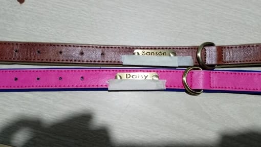 Customer photo review of Soft Padded Custom Leather Dog Collar and Leash Set with Free Engraved Nameplate for Small, Medium, and Large Dogs