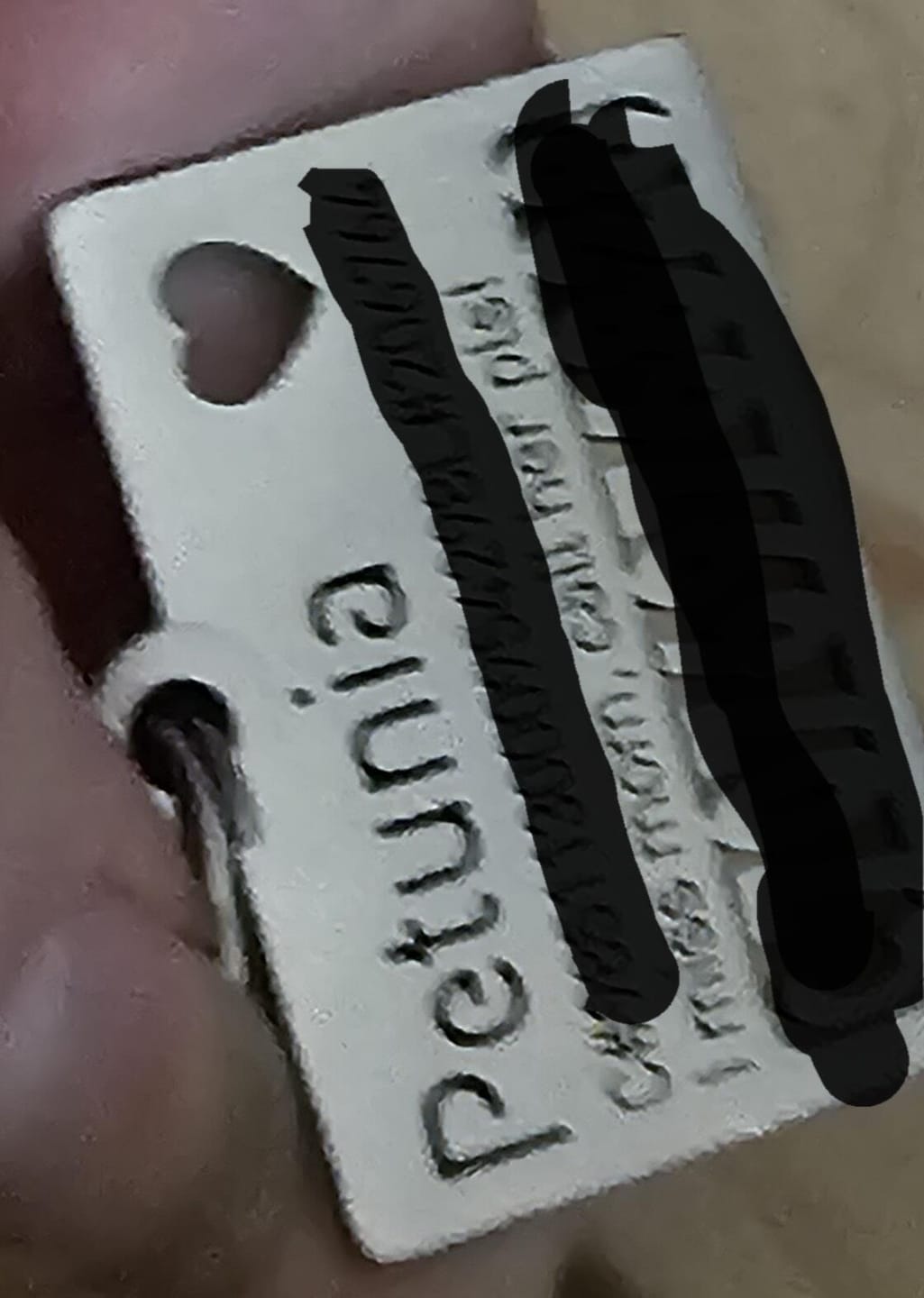 Customer photo review of Hollow-carved Dog ID Tags